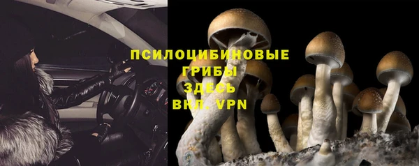 прущая мука Коряжма