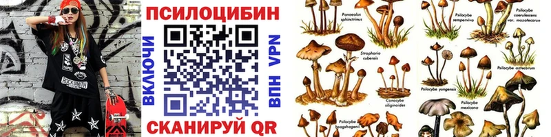 Купить закладки  Новомосковск  Галлюциногенные грибы мицелий 